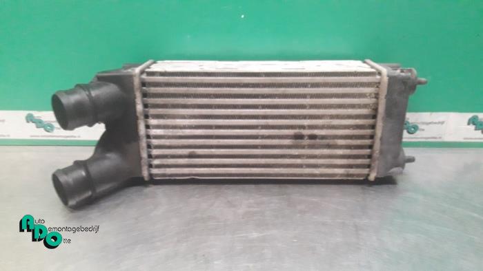 Usados Intercooler Citroen Berlingo 1.6 Hdi 75 16V Phase 1 Precio € 20,00 Norma de margen ofrecido por Autodemontagebedrijf Otte