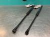 Set of tailgate gas struts from a Renault Twingo II (CN) 1.2 2008