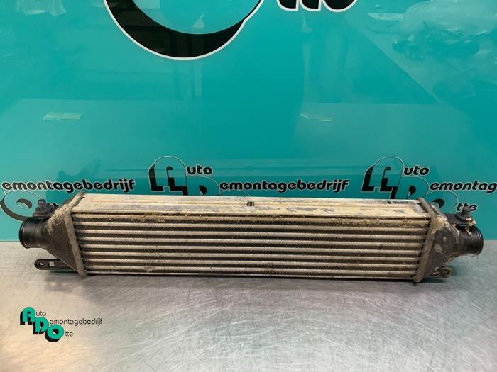 Used Intercooler Fiat Doblo Cargo (263) 1.6 D Multijet Price € 60,00 Margin scheme offered by Autodemontagebedrijf Otte