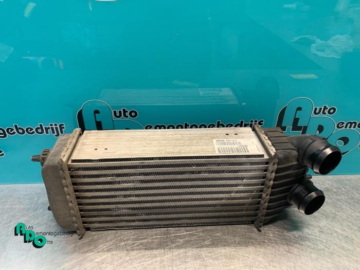 Usagé Intercooler Peugeot Expert (G9) 1.6 HDi 90 Prix € 30,00 Règlement à la marge proposé par Autodemontagebedrijf Otte