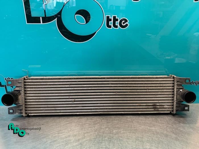 Gebrauchte Ladeluftkühler Opel Movano (4A1; 4A2; 4B2; 4B3; 4C2; 4C3) 1.9 CDTI Preis € 30,00 Margenregelung angeboten von Autodemontagebedrijf Otte