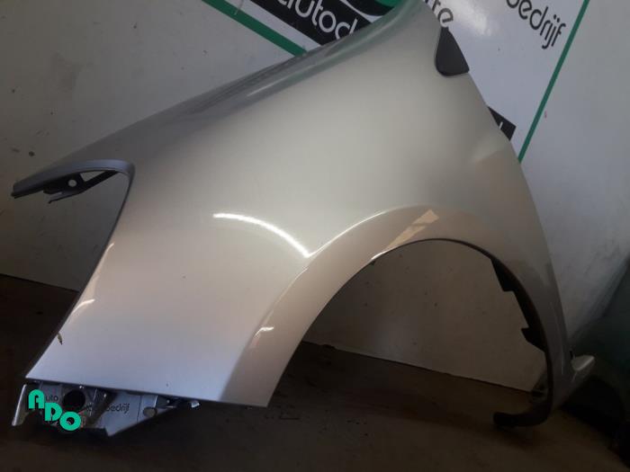 Front wing, left from a Renault Clio III (BR/CR) 1.2 16V 75 2009