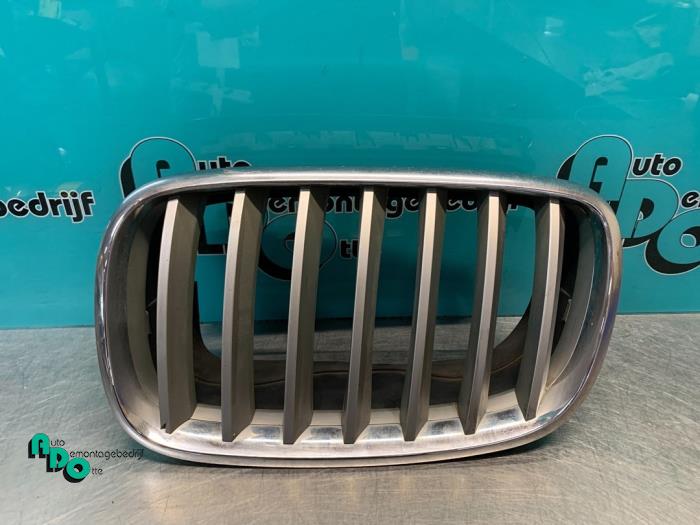 Grille from a BMW X5 (E70) 30d xDrive 3.0 24V 2011