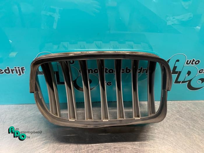 Grille from a BMW X5 (E70) 30d xDrive 3.0 24V 2011