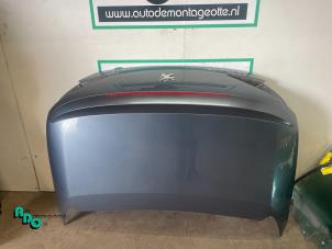 Used Boot lid Peugeot 307 CC (3B) 2.0 16V Price € 100,00 Margin scheme offered by Autodemontagebedrijf Otte