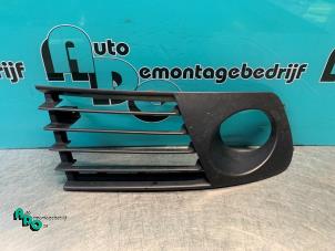Gebrauchte Abdeckplatte Nebelscheinwerfer links Seat Ibiza III (6L1) 1.4 16V 75 Preis € 15,00 Margenregelung angeboten von Autodemontagebedrijf Otte