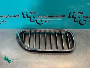 Used Grille BMW 5-Serie Price € 20,00 Margin scheme offered by Autodemontagebedrijf Otte