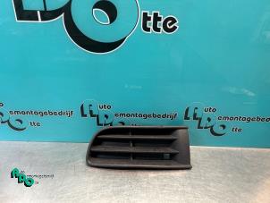 Gebrauchte Abdeckplatte Nebelscheinwerfer links Volkswagen Polo IV (9N1/2/3) 1.4 16V Preis € 15,00 Margenregelung angeboten von Autodemontagebedrijf Otte