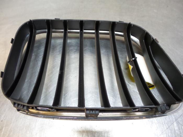 Grille from a BMW X5 2000