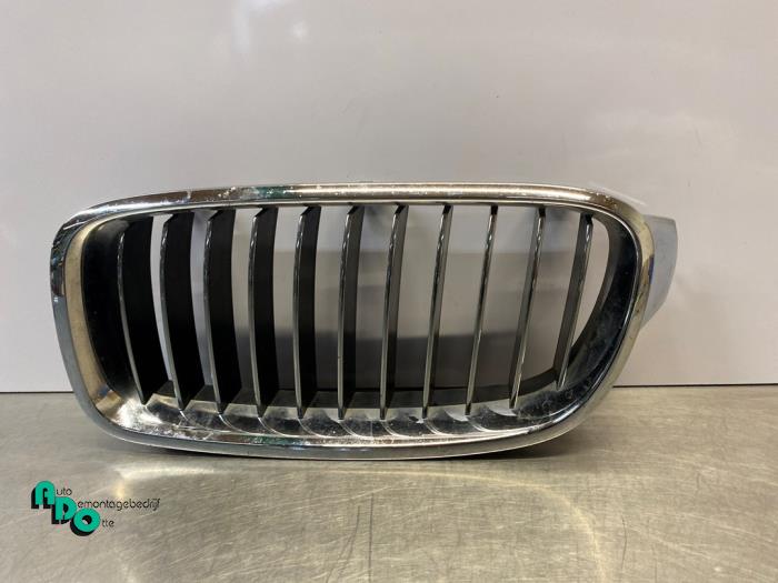 Begagnade Grill BMW 3 serie (F30) 316d 2.0 16V Pris € 20,00 Marginaltabell erbjuds av Autodemontagebedrijf Otte