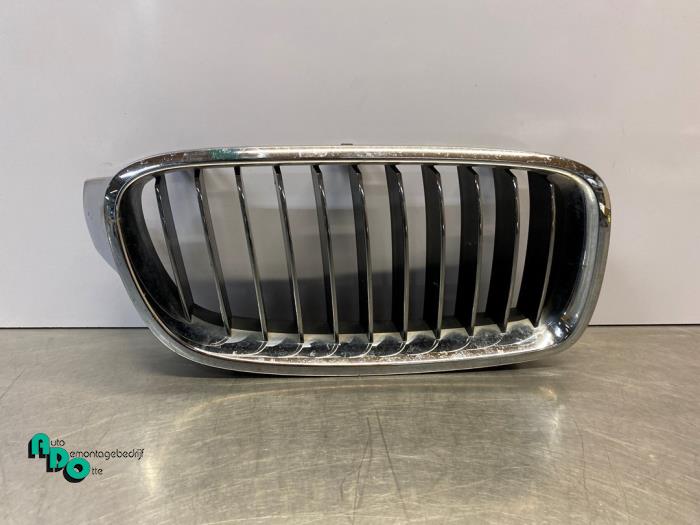 Używane Grill BMW 3 serie (F30) 316d 2.0 16V Cena € 20,00 Procedura marży oferowane przez Autodemontagebedrijf Otte