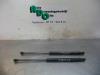Set of tailgate gas struts from a Fiat Grande Punto (199), 2005 1.4, Hatchback, Petrol, 1.368cc, 57kW (77pk), FWD, 350A1000, 2005-06 / 2012-10, 199AXB1; BXB1 2007