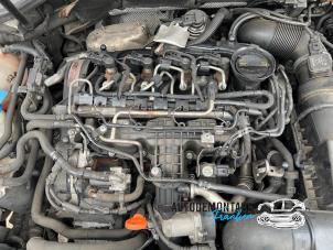 Gebrauchte Motor Volkswagen Golf VI (5K1) 1.6 TDI 16V Preis auf Anfrage angeboten von Franken Autodemontage B.V.