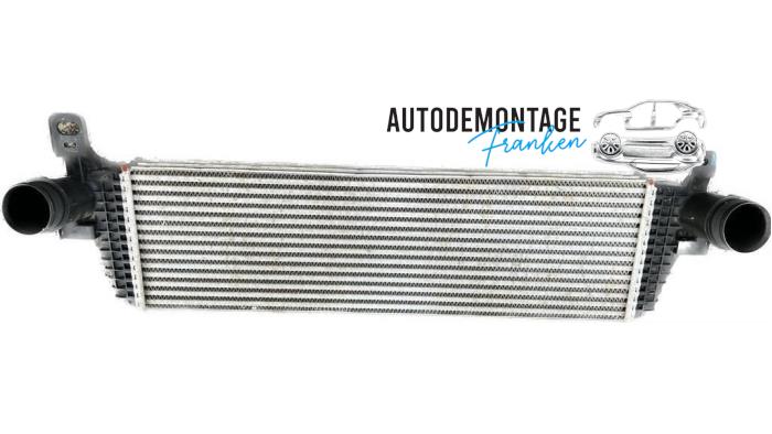 Usados Intercooler Volkswagen Transporter T6 2.0 TSI Precio de solicitud ofrecido por Franken Autodemontage B.V.