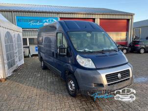 Used Front wing, right Fiat Ducato (250) 2.3 D 120 Multijet Price on request offered by Franken Autodemontage B.V.