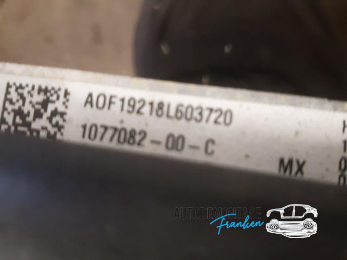 Radiator Tesla Model 3 Long Range AWD 75 kWh - 107708200C 3D1