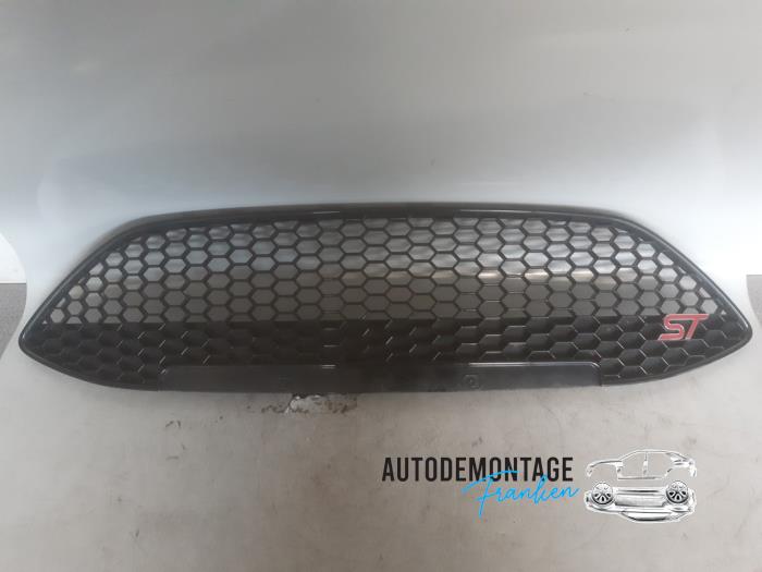 Begagnade Grill Ford Fiesta 6 (JA8) 1.6 ST 16V Pris på förfrågan erbjuds av Franken Autodemontage B.V.