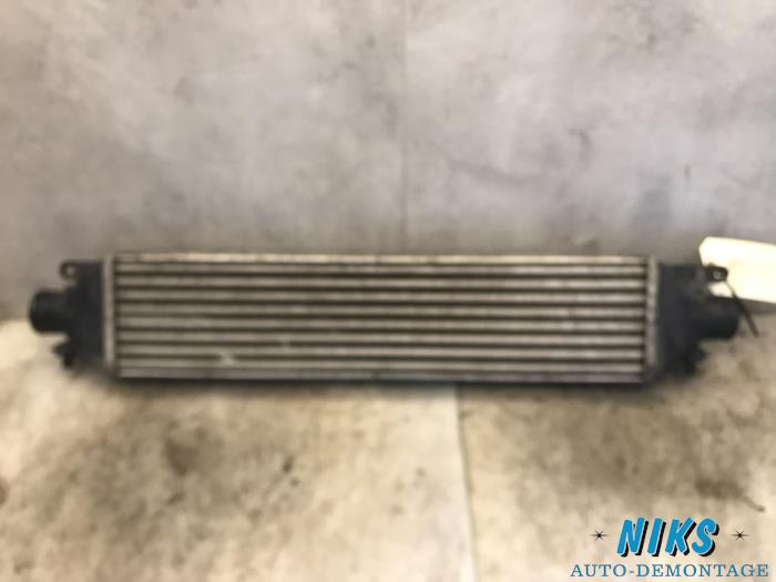 Used Intercooler Fiat Bravo (198A) 1.6 JTD Multijet 105 Price on request offered by Niks autodemontage