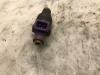 Injector (petrol injection) from a Renault Clio 1998