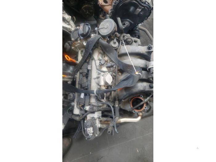 Używane Silnik Volkswagen Passat (3C2) 1.6 FSI 16V Cena € 350,00 Procedura marży oferowane przez Autosloopbedrijf H.C.Stouten