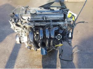 Used Engine Ford Focus 1 1.6 16V Price € 200,00 Margin scheme offered by Autodemontage de Zaag