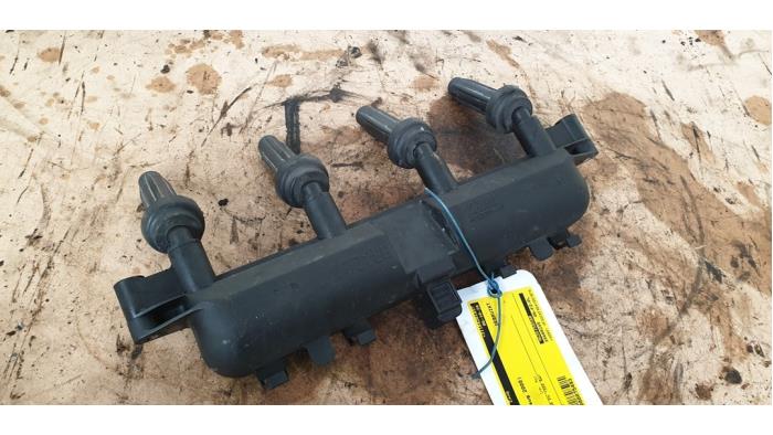 Ignition coil from a Peugeot 206 (2A/C/H/J/S) 1.4 XR,XS,XT,Gentry 2000