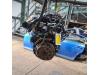Engine from a Ford Fiesta 6 (JA8) 1.6 TDCi 16V 90 2010