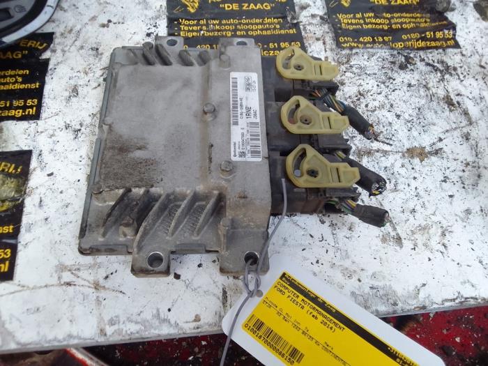 Used Engine management computer Ford Fiesta 6 (JA8) 1.25 16V Price € 100,00 Margin scheme offered by Autodemontage de Zaag