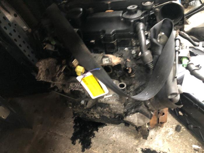 Gebrauchte Motor Ford Fiesta 5 (JD/JH) 1.4 TDCi Preis € 250,00 Margenregelung angeboten von Autodemontage de Zaag
