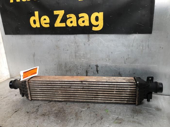Usagé Intercooler Opel Mokka/Mokka X 1.4 Turbo 16V 4x2 Prix € 70,00 Règlement à la marge proposé par Autodemontage de Zaag