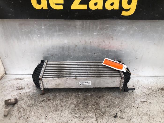 Usados Intercooler Renault Kangoo Express (FW) 1.5 dCi 85 Precio € 50,00 Norma de margen ofrecido por Autodemontage de Zaag
