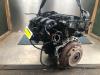 Engine from a Ford Fiesta 6 (JA8), 2008 / 2018 1.25 16V, Hatchback, Petrol, 1.242cc, 44kW (60pk), FWD, STJA; STJB; STJC; STJD, 2008-06 / 2017-04 2009