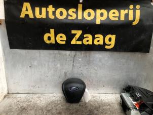 Gebrauchte Airbag links (Lenkrad) Ford EcoSport (JK8) 1.0 EcoBoost 12V 125 Preis € 100,00 Margenregelung angeboten von Autodemontage de Zaag