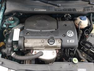 Used Engine Volkswagen Polo III (6N1) 1.6i 75 Price € 250,00 Margin scheme offered by Autodemontage de Zaag