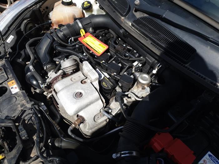 Moteur d'un Ford Fiesta 6 (JA8) 1.0 EcoBoost 12V 100 2014