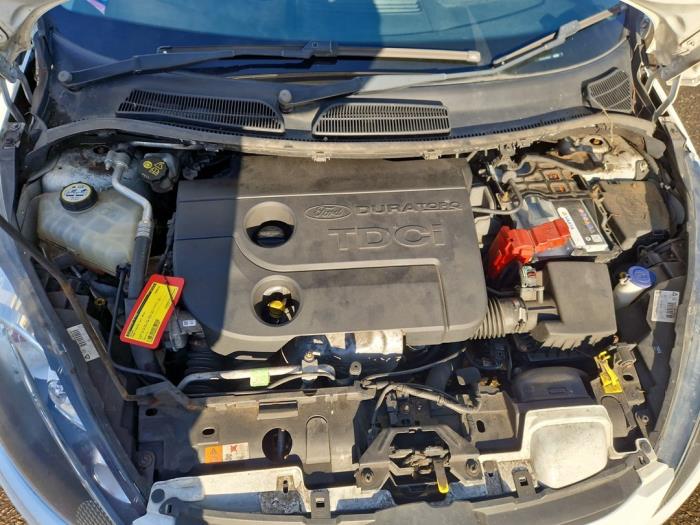 Gebrauchte Motor Ford Fiesta 6 (JA8) 1.6 TDCi 95 Preis € 1.000,00 Margenregelung angeboten von Autodemontage de Zaag