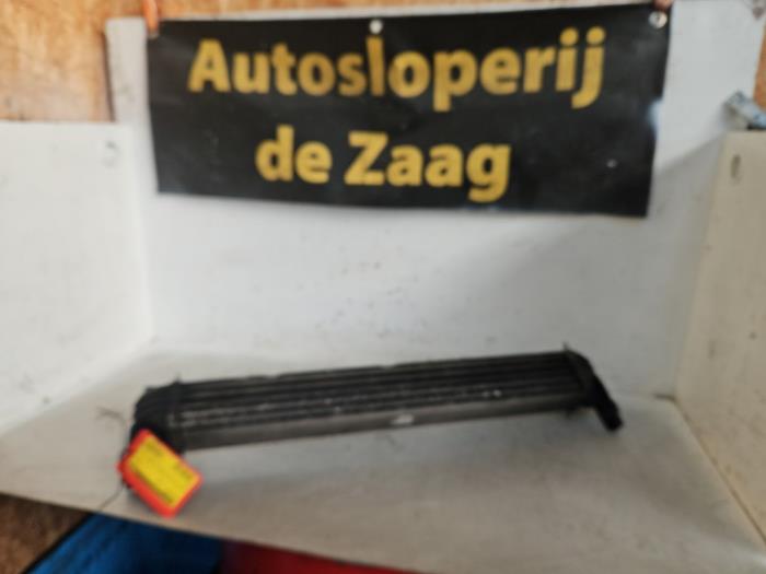 Usagé Echangeur air (Intercooler) Seat Ibiza IV SC (6J1) 1.9 TDI 105 Prix € 50,00 Règlement à la marge proposé par Autodemontage de Zaag