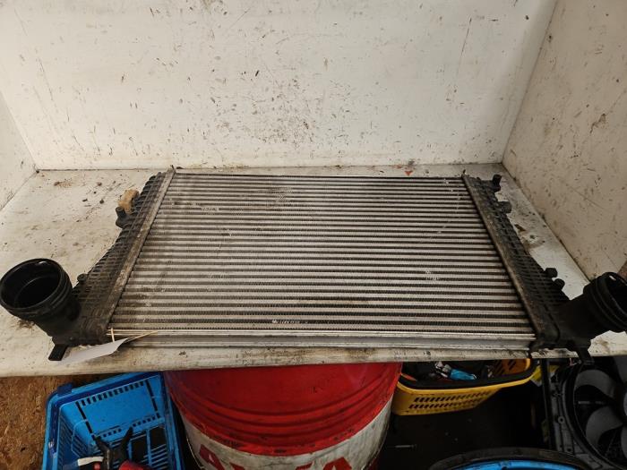 Usagé Echangeur air (Intercooler) Volkswagen Tiguan (5N1/2) 1.4 TSI 16V Prix € 50,00 Règlement à la marge proposé par Autodemontage de Zaag