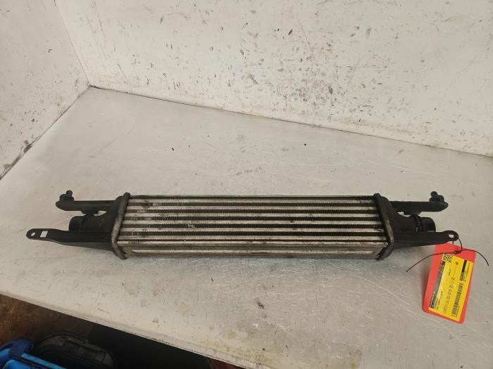 Usagé Echangeur air (Intercooler) Opel Corsa D 1.3 CDTi 16V ecoFLEX Prix € 35,00 Règlement à la marge proposé par Autodemontage de Zaag