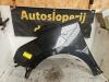 Citroën C3 Picasso (SH) 1.4 16V VTI 95 Framskärm, vänster