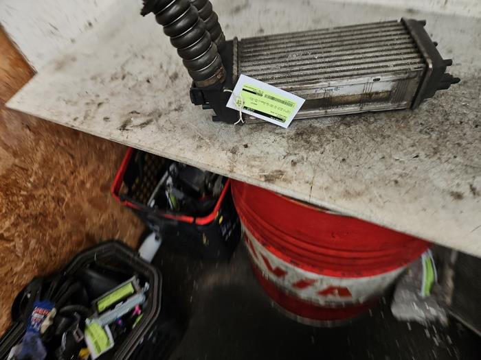 Usagé Intercooler Ford Fiesta 6 (JA8) 1.5 TDCi Prix € 100,00 Règlement à la marge proposé par Autodemontage de Zaag