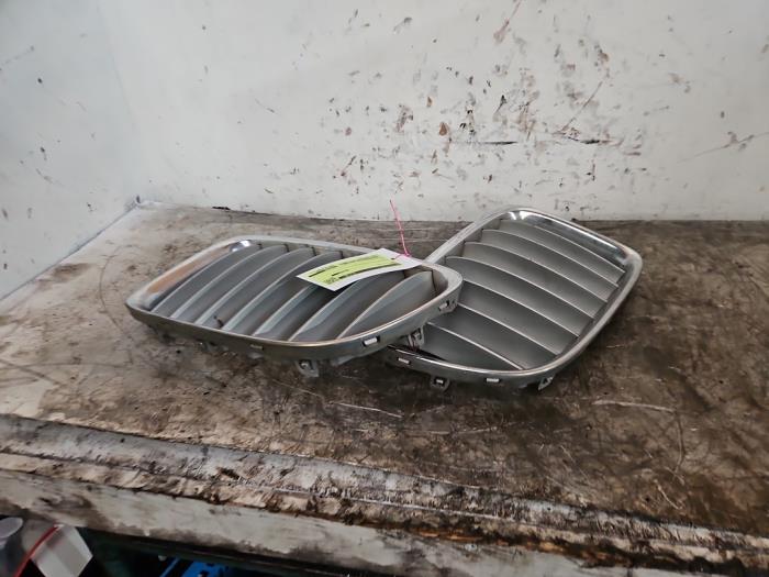Używane Grill BMW X1 (E84) sDrive 18d 2.0 16V Cena € 60,00 Procedura marży oferowane przez Autodemontage de Zaag