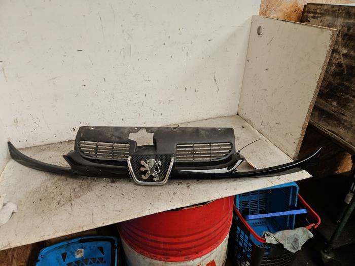 Używane Grill Peugeot 206 CC (2D) 1.6 16V Cena € 19,99 Procedura marży oferowane przez Autodemontage de Zaag