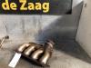Exhaust manifold from a Peugeot 206 CC (2D) 2.0 16V 2004