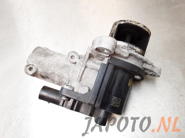 EGR valve Kia Sportage 2.0 CRDi 16V VGT 4x4 284102F000 D4HA