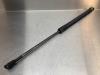 Rear gas strut, right from a Toyota Avensis Wagon (T25/B1E), 2003 / 2008 1.8 16V VVT-i, Combi/o, Petrol, 1.794cc, 95kW (129pk), FWD, 1ZZFE, 2003-04 / 2008-11, ZZT251 2007