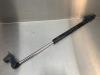 Rear gas strut, left from a Toyota Avensis Verso (M20), 2001 / 2005 2.0 D-4D 16V, MPV, Diesel, 1.995cc, 85kW (116pk), FWD, 1CDFTV, 2001-08 / 2005-12, CLM20 2002