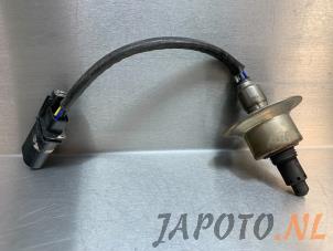 Używane Sonda lambda Hyundai i20 (GBB) 1.0 T-GDI 100 12V Cena € 34,95 Procedura marży oferowane przez Japoto Parts B.V.