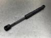 Toyota GT 86 (ZN) 2.0 16V Gasdämpfer links hinten