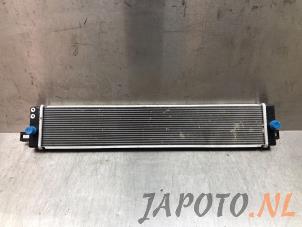 Usagé Radiateur Toyota RAV4 (A5) 2.5 Hybrid 16V AWD Prix € 149,95 Règlement à la marge proposé par Japoto Parts B.V.